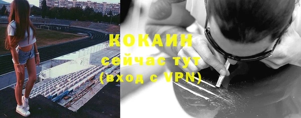 прущие грибы Нея