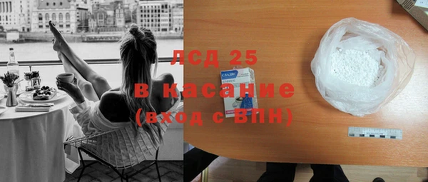 прущие грибы Нея