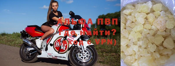 прущие грибы Нея