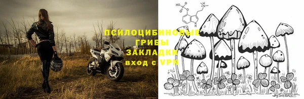 прущие грибы Нея
