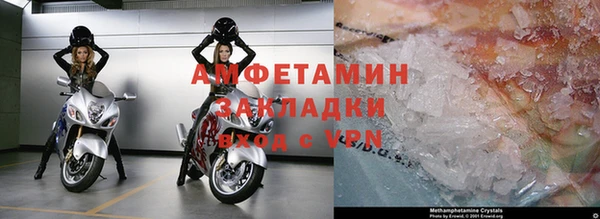 прущие грибы Нея