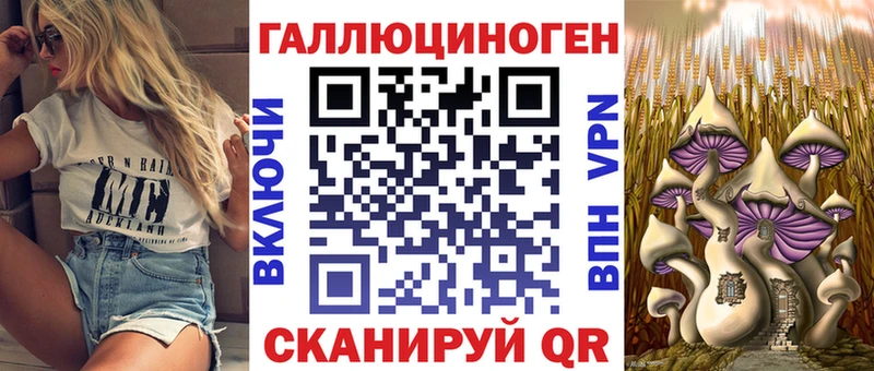 как найти закладки  Удачный  Галлюциногенные грибы Psilocybe 